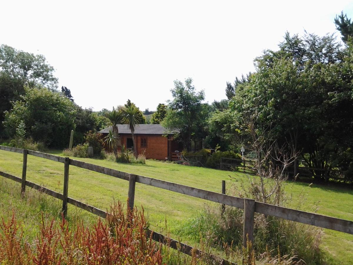 Tudor Lodge With Pool & Bbq Cabin Liskeard Exterior foto